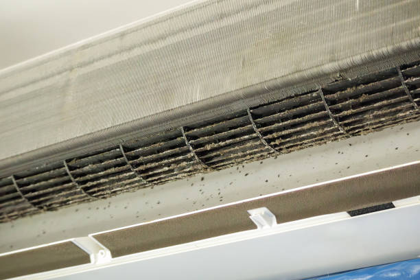 Best Air Duct Cleaning Near Me  in Strathmore, NJ